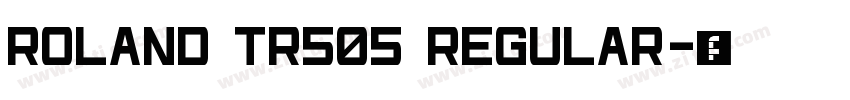 Roland TR505 Regular字体转换